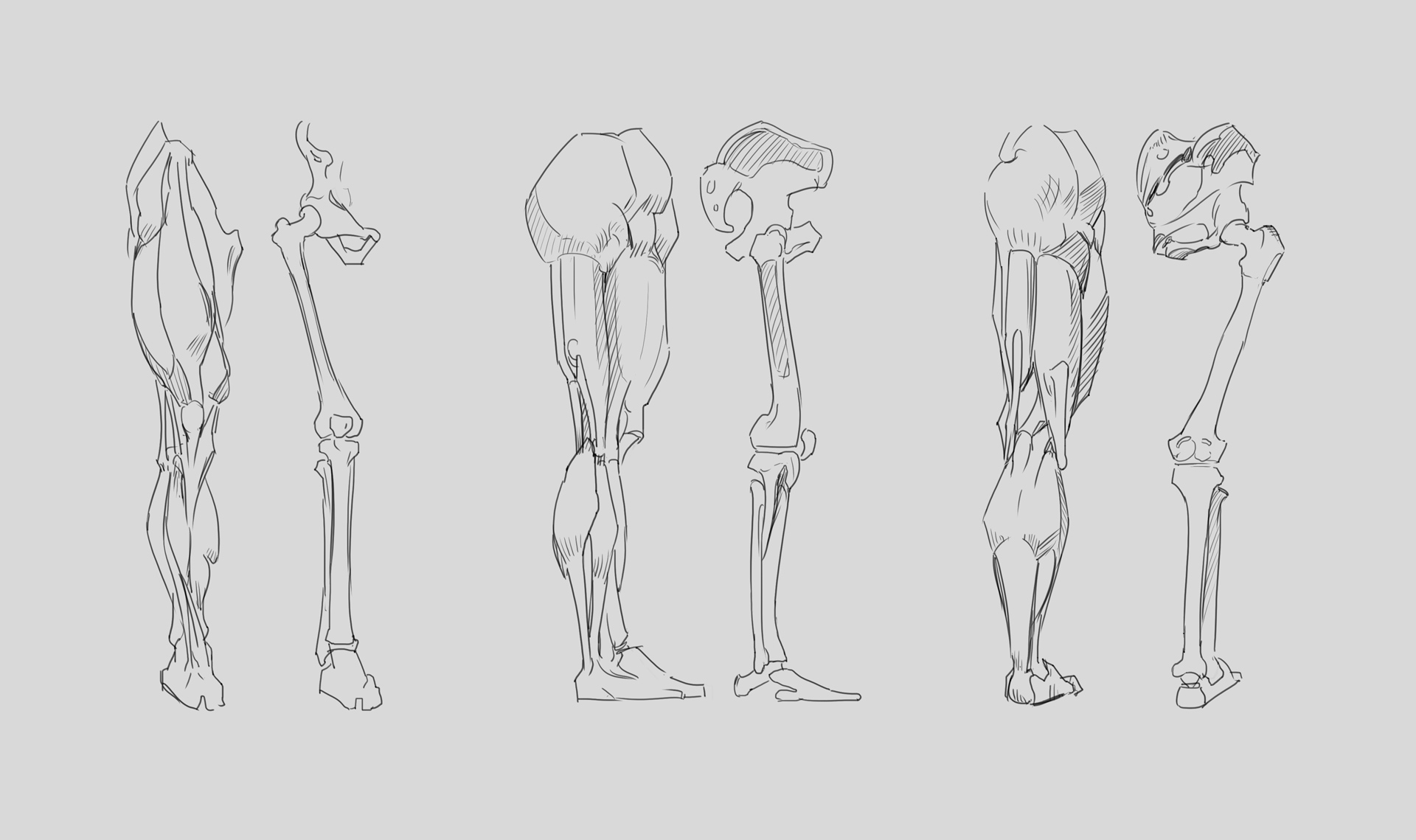 Figure05_Legs-D2-A Figure05_Legs-D2-A