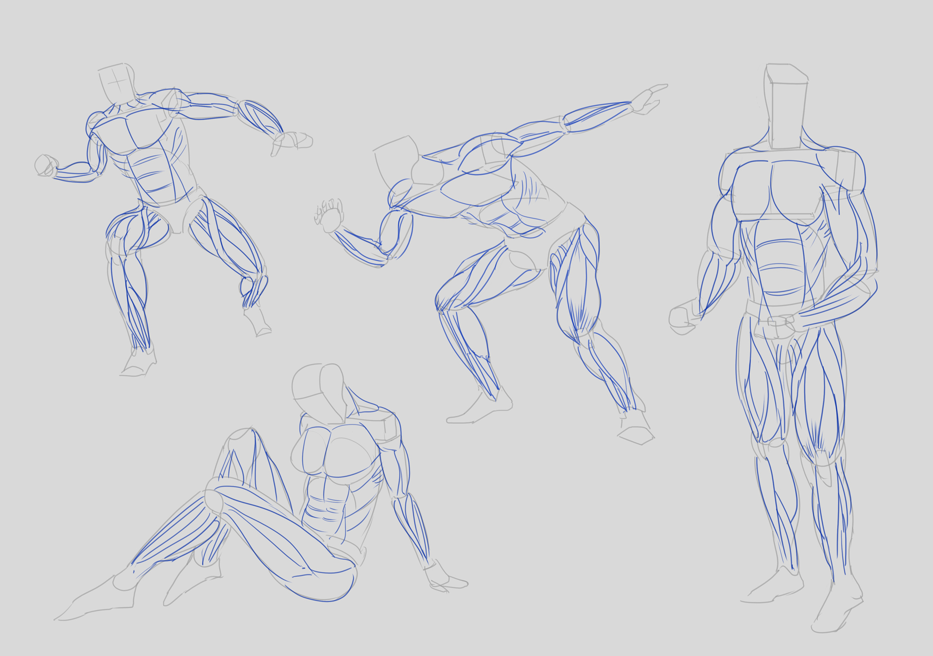 Figure05_Legs-D2-B3 Figure05_Legs-D2-B3